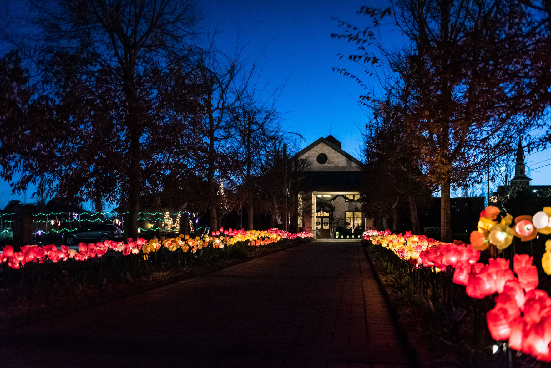 Ciener Garden Tulip Holiday Blooms Light Display